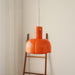 "Lumina Petal Glass Pendant Light-DWHOME"