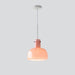 "Lumina Petal Glass Pendant Light-DWHOME"