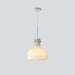 "Lumina Petal Glass Pendant Light-DWHOME"