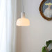 "Lumina Petal Glass Pendant Light-DWHOME"