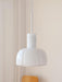 "Lumina Petal Glass Pendant Light-DWHOME"