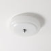 Lumineo Ceiling Light-DWHOME