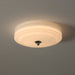 Lumineo Ceiling Light-DWHOME