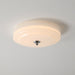 Lumineo Ceiling Light-DWHOME