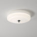 Lumineo Ceiling Light-DWHOME