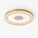 Lumora Resin Ceiling Light-DWHOME