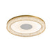 Lumora Resin Ceiling Light-DWHOME