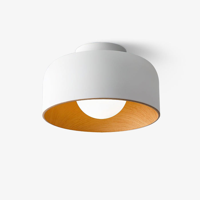 Lumosphere Ceiling Light-DWHOME