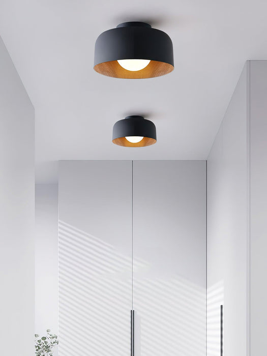 Lumosphere Ceiling Light-DWHOME
