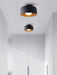 Lumosphere Ceiling Light-DWHOME