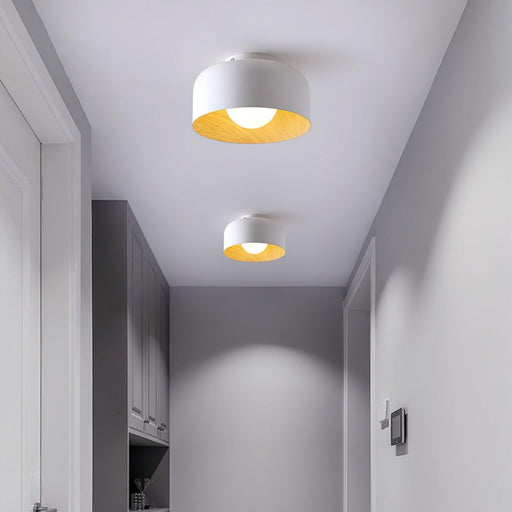Lumosphere Ceiling Light-DWHOME
