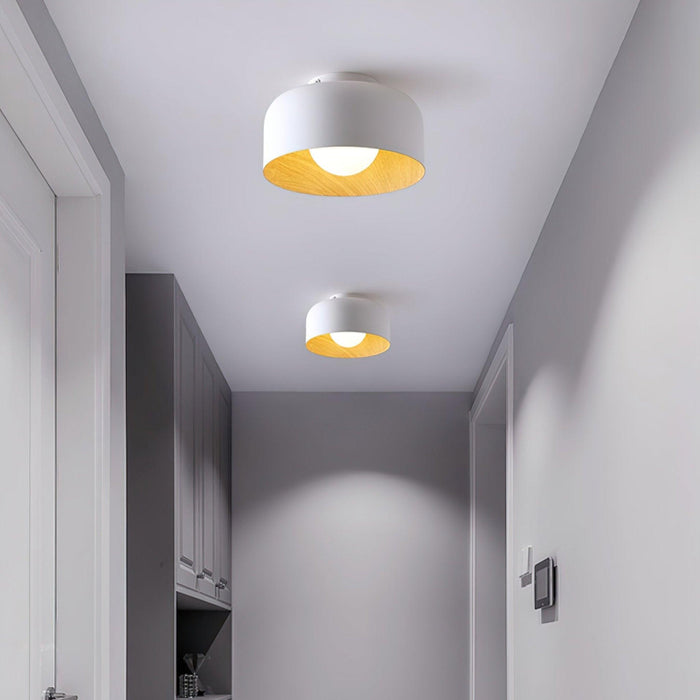 Lumosphere Ceiling Light-DWHOME