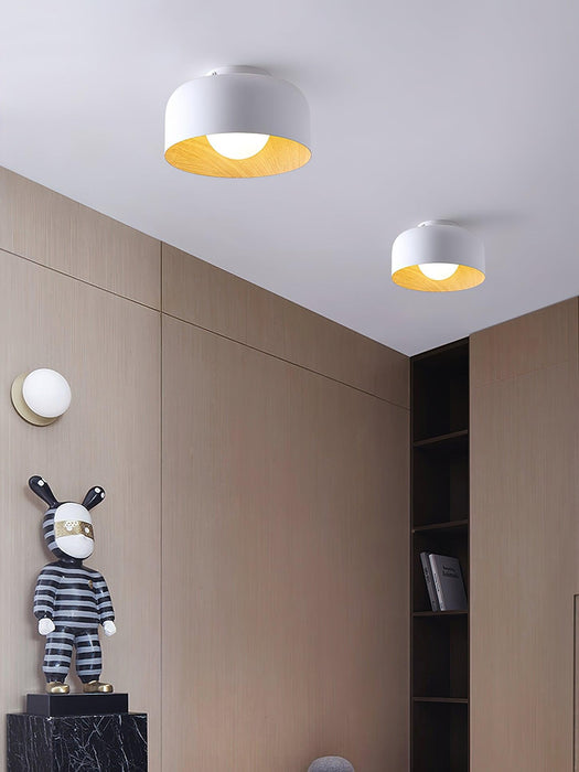 Lumosphere Ceiling Light-DWHOME