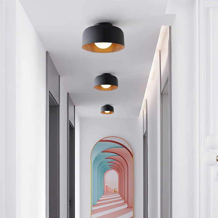 Lumosphere Ceiling Light-DWHOME