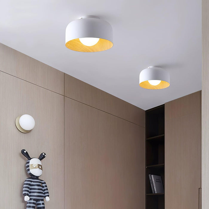 Lumosphere Ceiling Light-DWHOME