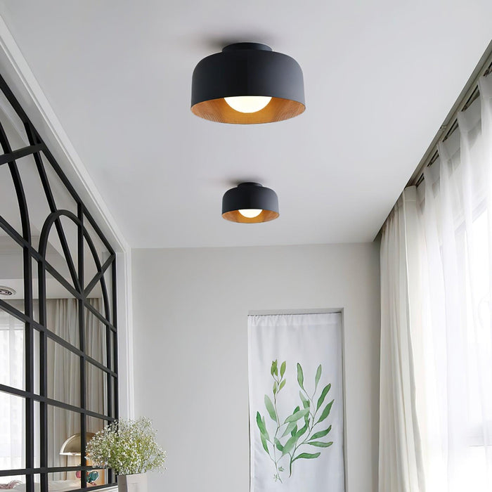 Lumosphere Ceiling Light-DWHOME