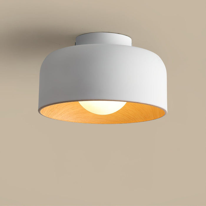 Lumosphere Ceiling Light-DWHOME