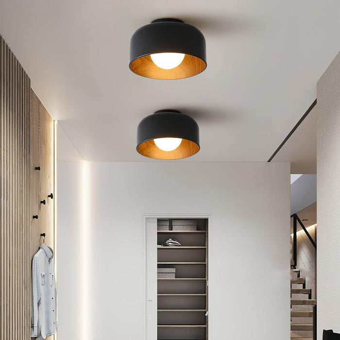Lumosphere Ceiling Light-DWHOME