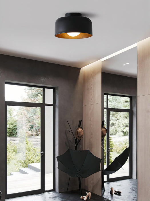 Lumosphere Ceiling Light-DWHOME