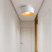Lumosphere Ceiling Light-DWHOME
