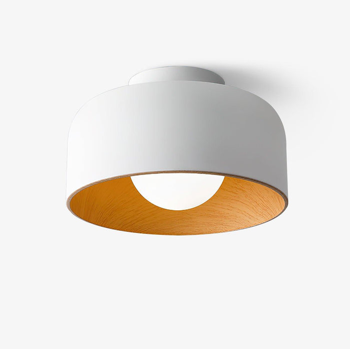 Lumosphere Ceiling Light-DWHOME