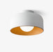 Lumosphere Ceiling Light-DWHOME