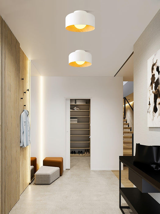 Lumosphere Ceiling Light-DWHOME