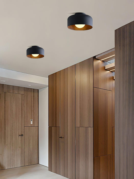 Lumosphere Ceiling Light-DWHOME