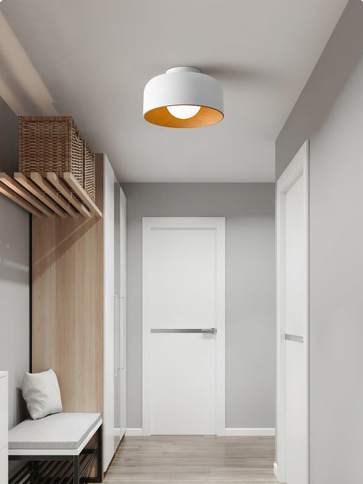 Lumosphere Ceiling Light-DWHOME