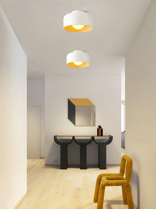 Lumosphere Ceiling Light-DWHOME