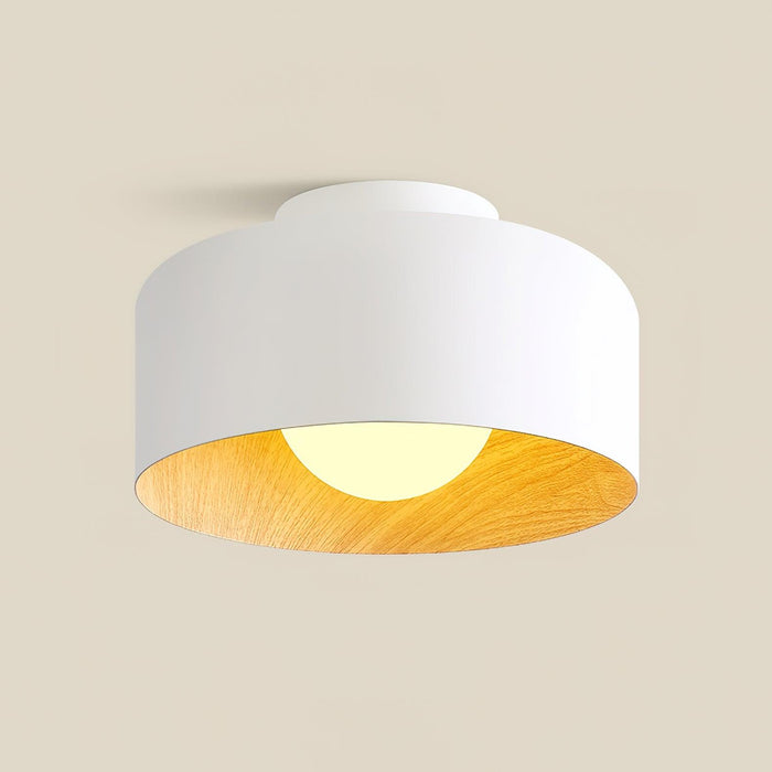 Lumosphere Ceiling Light-DWHOME