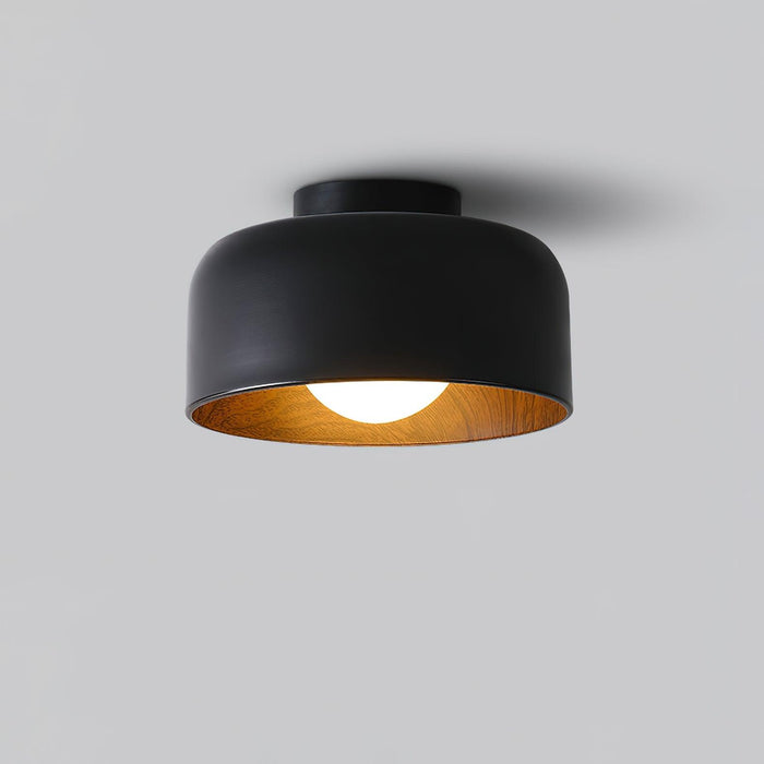 Lumosphere Ceiling Light-DWHOME
