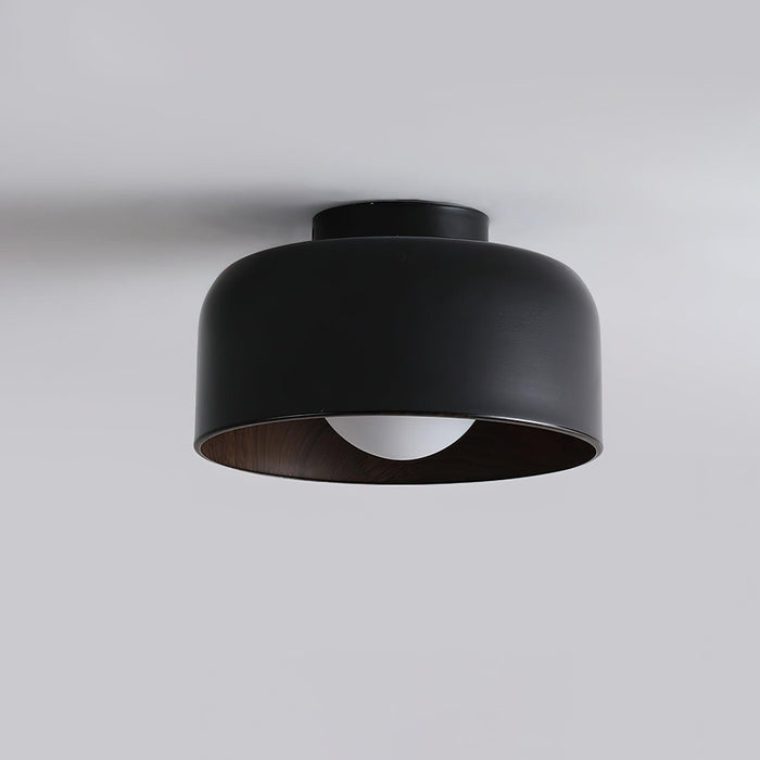 Lumosphere Ceiling Light-DWHOME