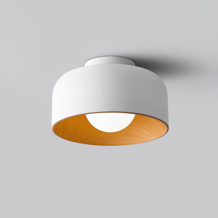 Lumosphere Ceiling Light-DWHOME