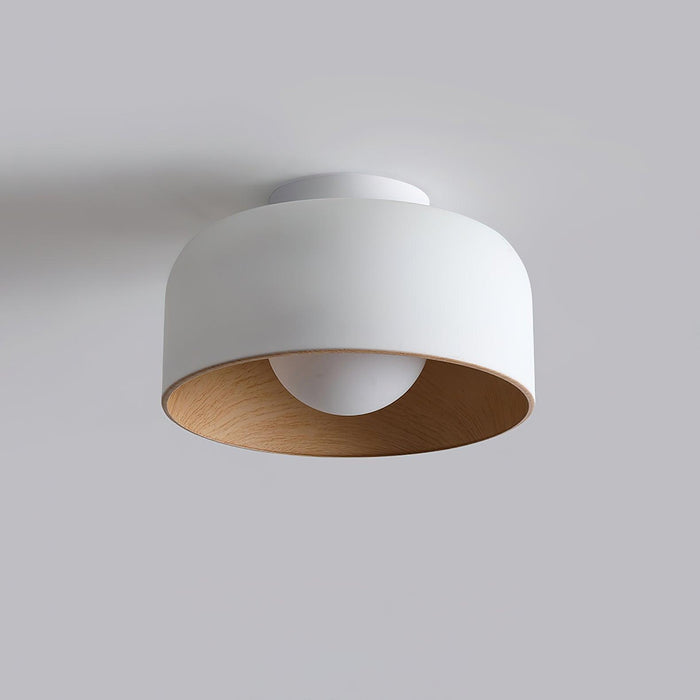Lumosphere Ceiling Light-DWHOME