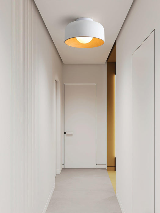Lumosphere Ceiling Light-DWHOME