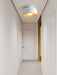 Lumosphere Ceiling Light-DWHOME