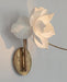 Lure Sconce-DWHOME