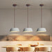 Bowlful Ceramic Pendant Lamp-DWHOME