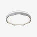 Lyric Ceiling Light-DWHOME