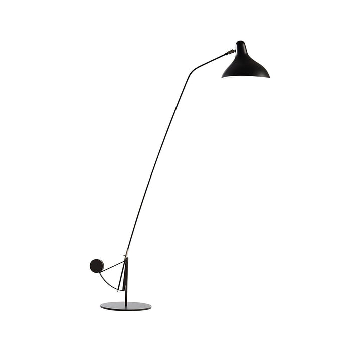 Mantis Arm Floor Lamp-DWHOME