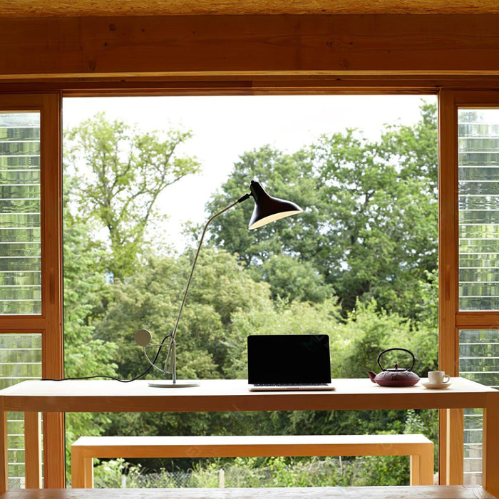 Mantis Arm Table Lamp - DWHOME