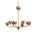 Mariella Tulip Chandelier-DWHOME