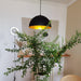 Marlow Dome Pendant Lamp-DWHOME