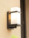 Mcdade Outdoor Wall Light - DWHOME