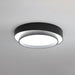 Melody Ceiling Lamp-DWHOME