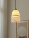 Mesh Tassel Glass Pendant Light - DWHOME