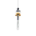 Metal Glass Pendant Light-DWHOME