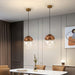 Metro Dome Pendant Light-DWHOME