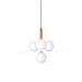 Miira Brass Pendant Light-DWHOME